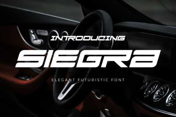 How Siegra Transformed My Brand’s Visual Identity