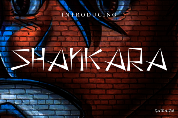 Shankara Font for Modern Branding and Digital Creativity
