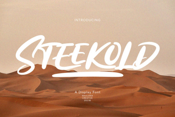 Steekold: A Modern Display Font for Web Design